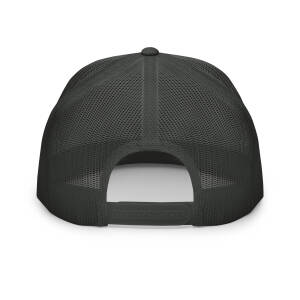 25115 color Cap - Image 26